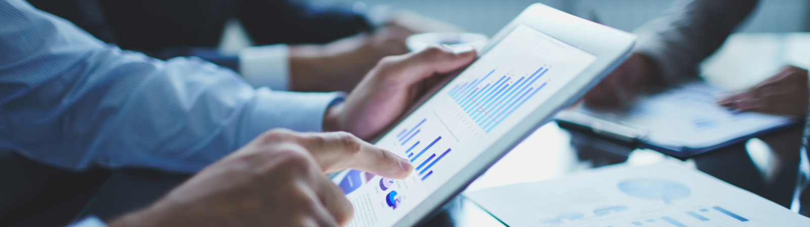 Asset Protection Planning Services In Uae And The Gcc Asset Protection Planning Services In Uae And The Gcc