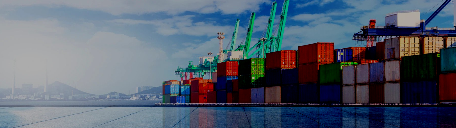 Transfer Pricing Services In The Uae Transfer Pricing Services In The Uae