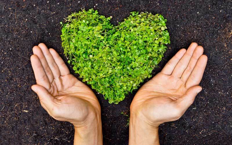 Is Your Company Compliant With Uae Corporate Social Responsibility Laws?
