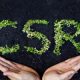 Is Your Company Compliant With Uae Corporate Social Responsibility Laws?