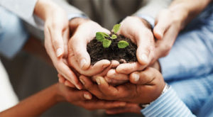 Asset Protection Uae