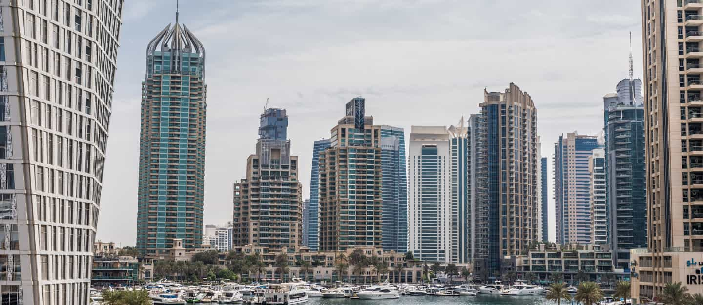 Find Out Why You Need To Transfer Your Company To The Uae