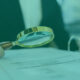 withholding tax reclaim for uae businesses