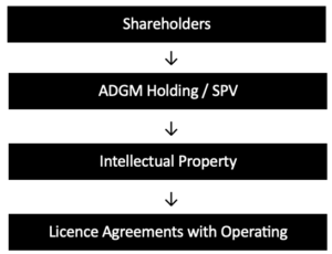 IP Holding Structure