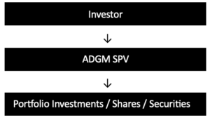 Passive Investment Holding SPV Structure